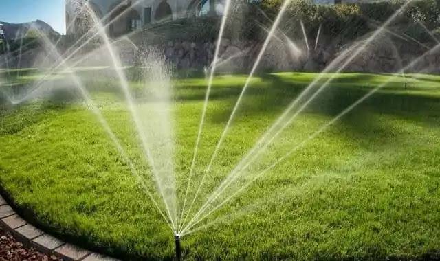 اللمسة الخضراء